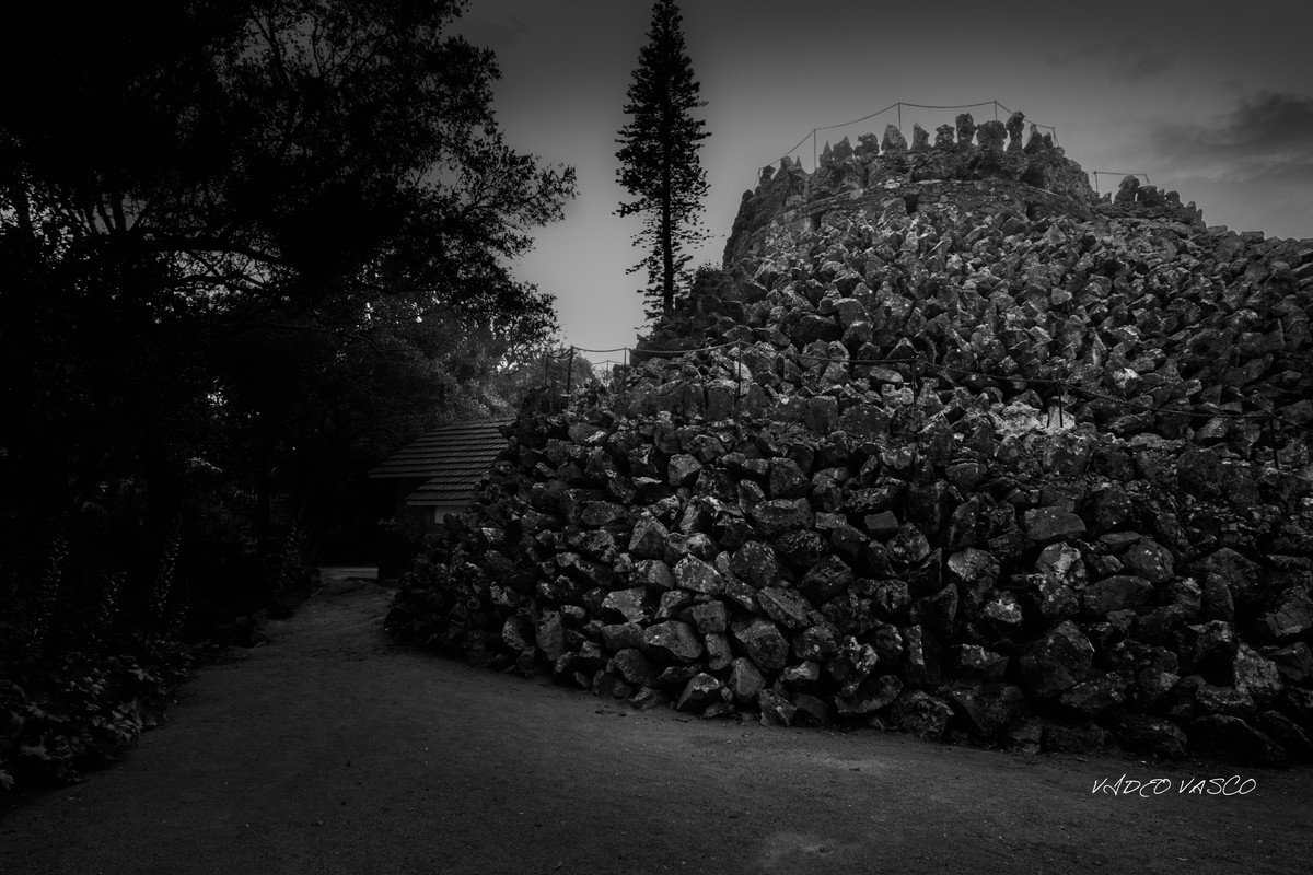 HIve-CAstle-and-centro-Bn-W-03.jpg