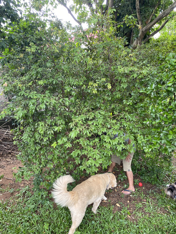 92EBBC77-0717-417D-9D4A-19874EBE6EB4