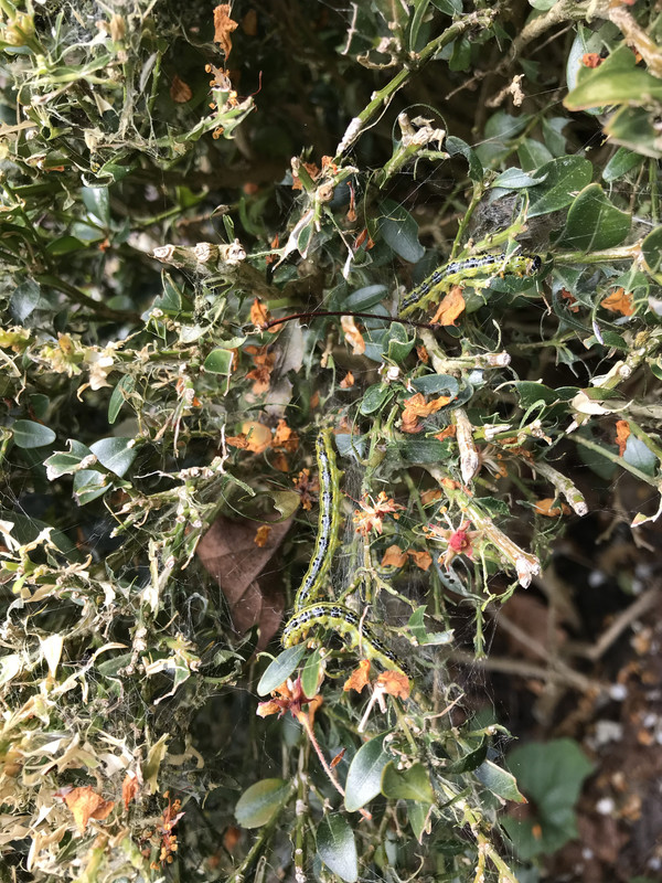 C87314FC-7CE7-4487-9709-981585730FCD