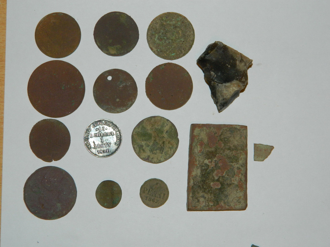 1zloty 032