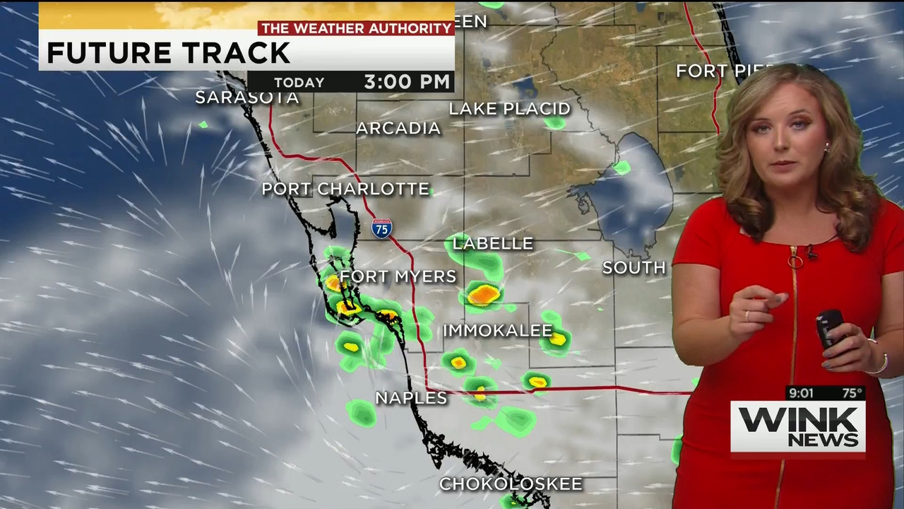 23 May - 14.00.00 - WINK News @ 9 00AM..ts_snapshot_00.06.00_[2020.05.23_17.11.51]