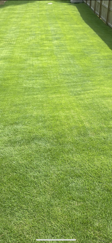 5F0043DF-7DE0-414A-A7C4-3F411A91912B