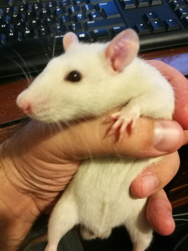 photo_2017-11-06_21-05-27