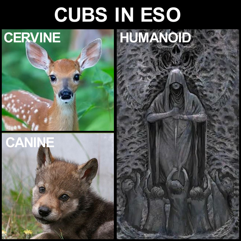 Cubs-in-ESO.jpg