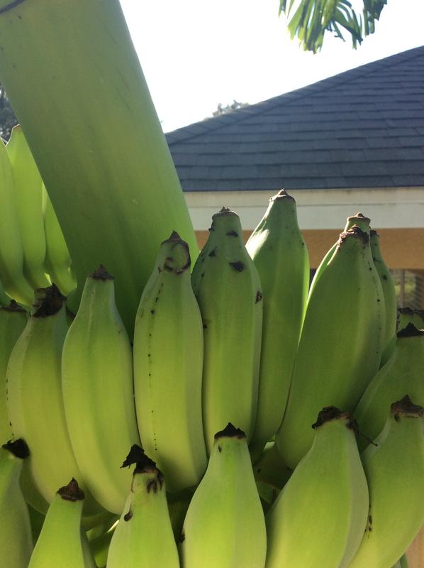 C77CBE85-319F-4E3E-9587-82C5099BEEC8