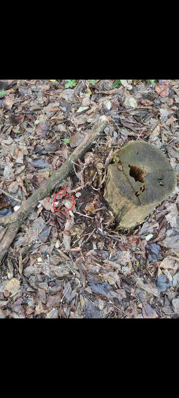 Screenshot 2025 11 27 14 47 15 97 99c04817c0de5652397fc8b56c3b3817