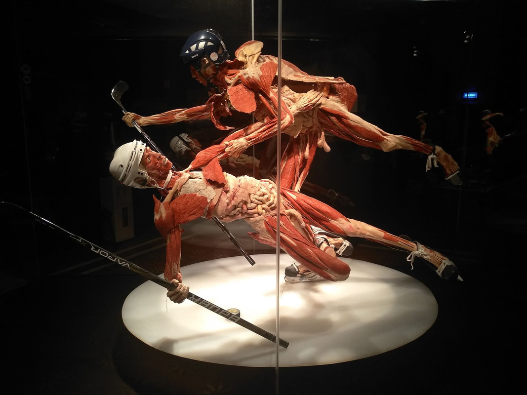 73308920_531955900976457_5949494204290826240_n