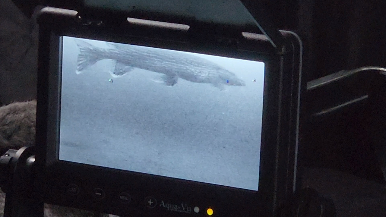 VideoCapture_20230122-195149