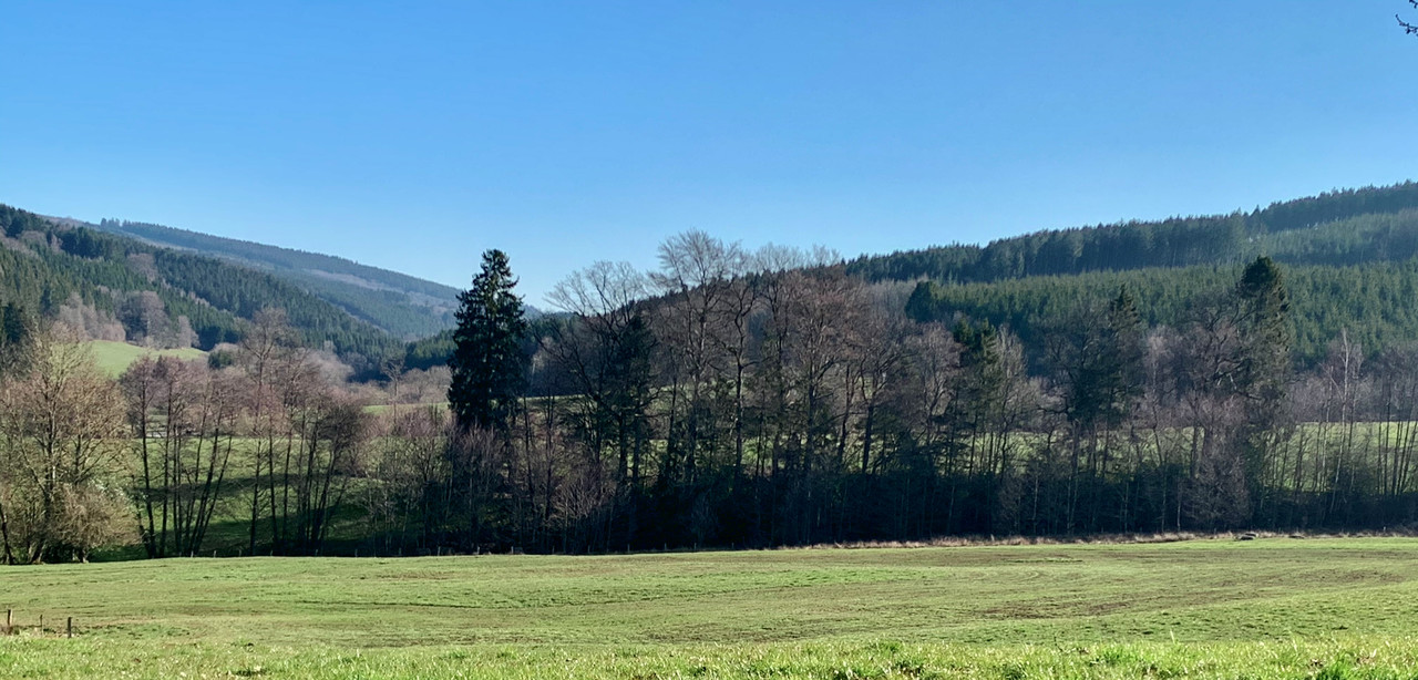 A8E355C7-7152-41FF-A493-A8C8475B0E6E_1_201_a