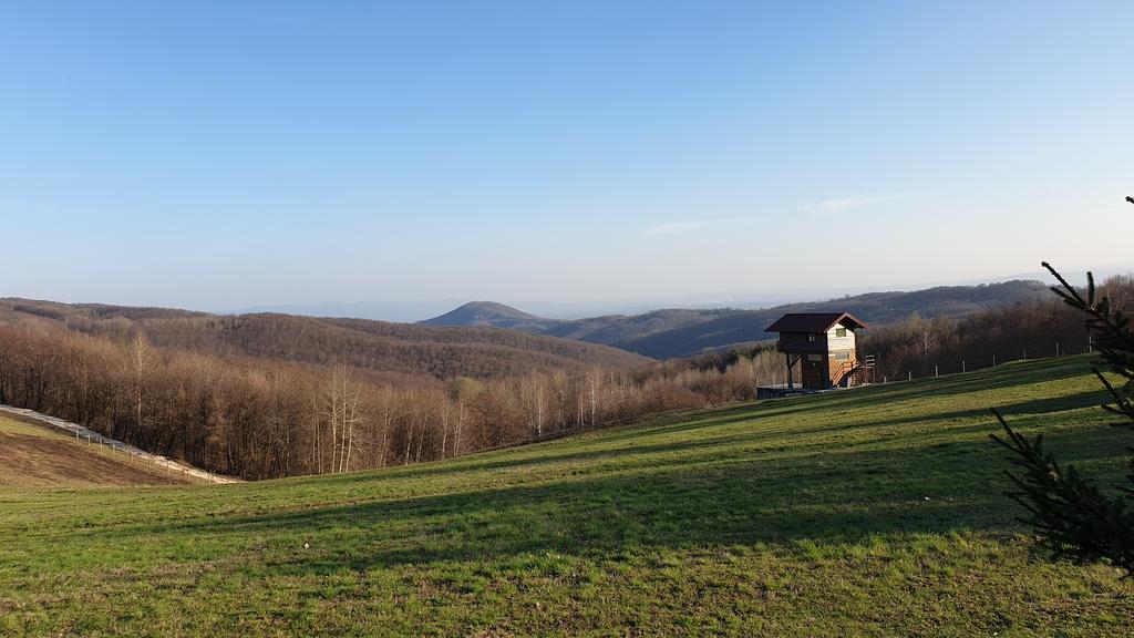 Slika