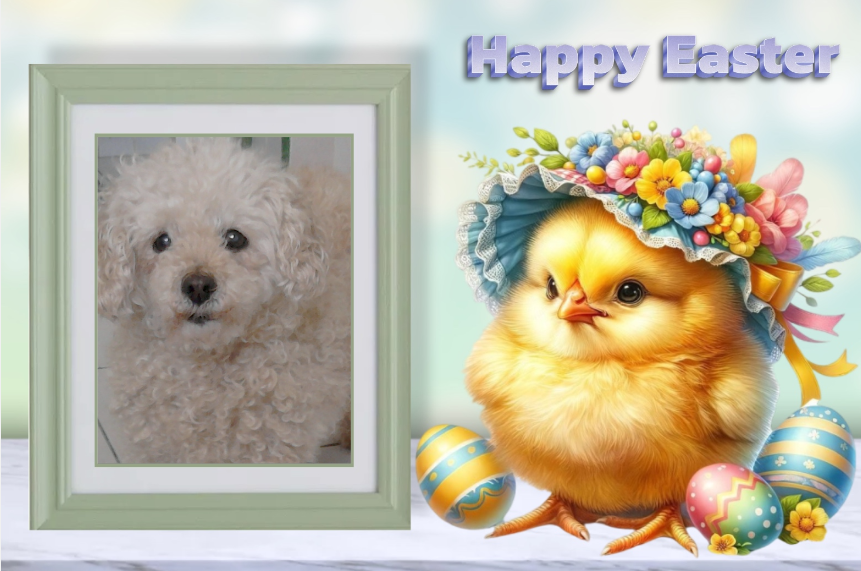 ( a 1 a Pâques Mindy