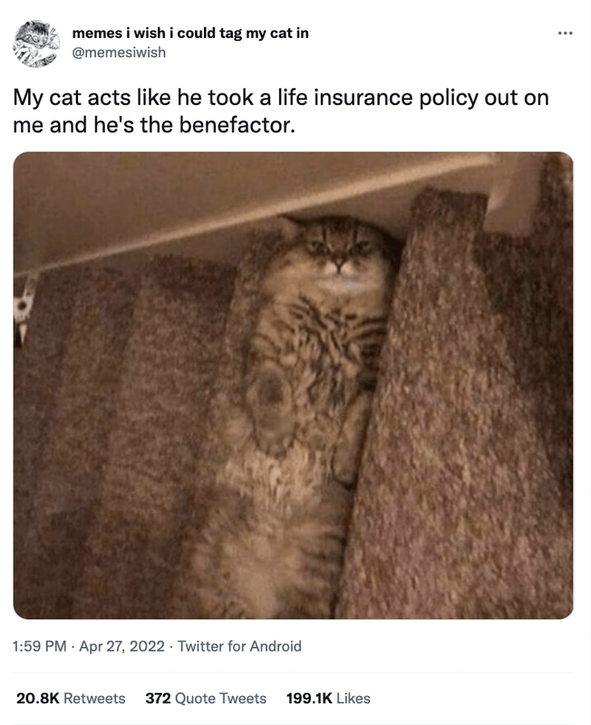 on-and-hes-benefactor-159-pm-apr-27-2022-twitter-android-208k-retweets-372-quote-tweets-1991k-likes(