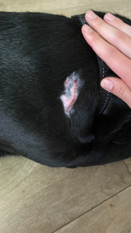 92A96EBA-9218-47B0-A0B7-80D0B2F1756B