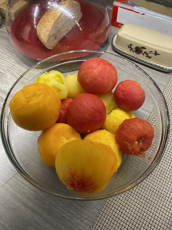 35557348-6548-4C99-B015-CFCCD0DA9CFB