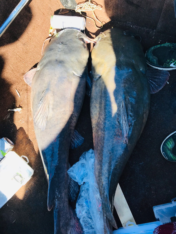 FB6DDB60-1819-490E-B117-327B5827B1F8