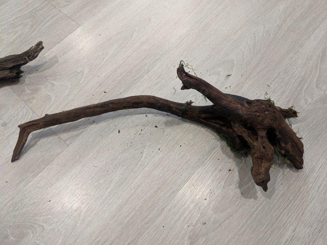 photo_2019-04-30_12-45-17 (2)