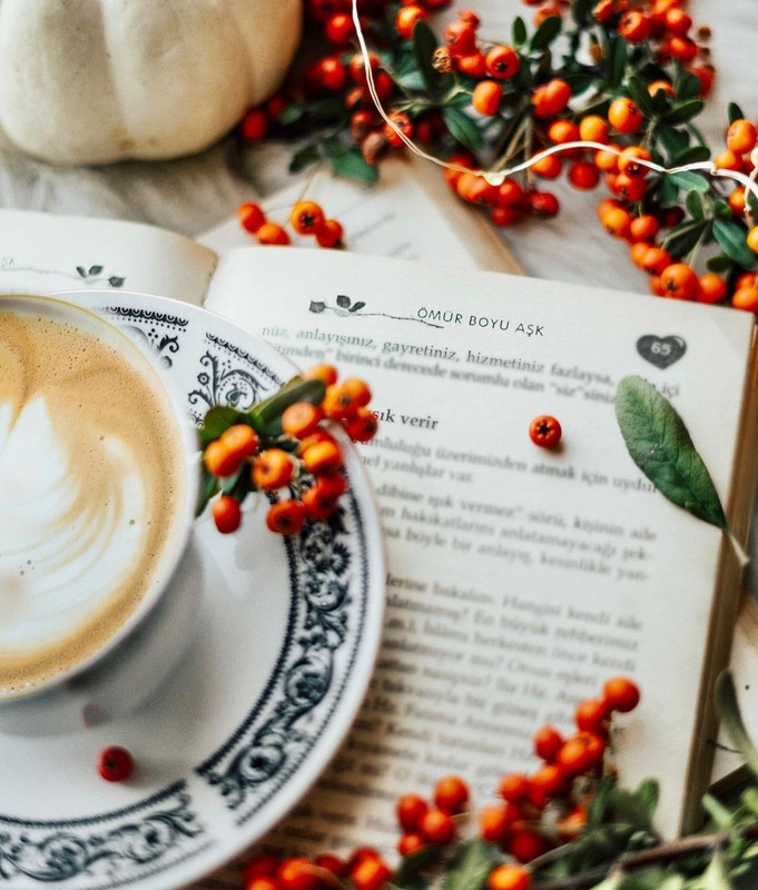 Screenshot_20231204_000144_Instagram