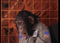 Rocket-Man-Monkey-Face-Palm.gif