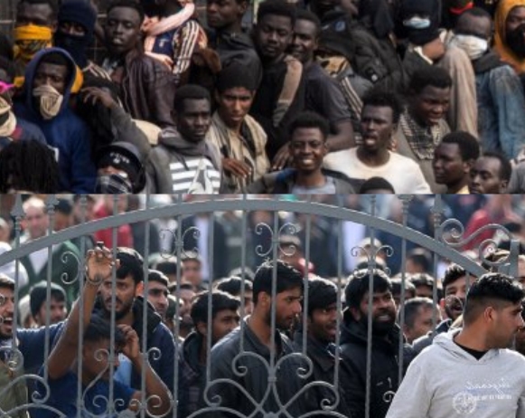 
Warum wollen Afghanen Deutschland nicht verlassen?