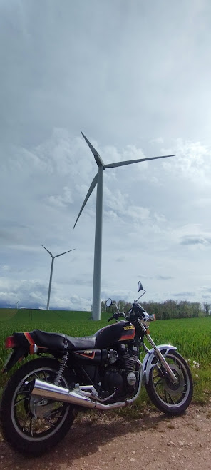 IMG_20240505_162938 (1)