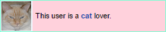 cat lover
