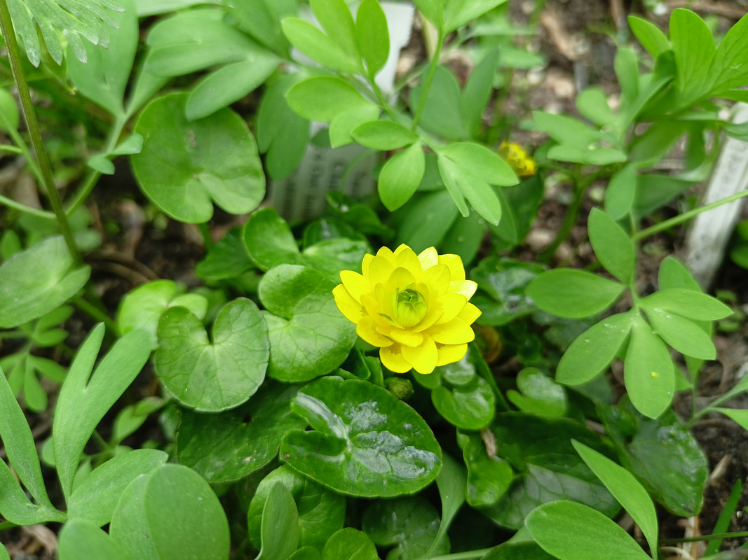 IMG-458569f7830d9beecb25bcdfd9068c25-V