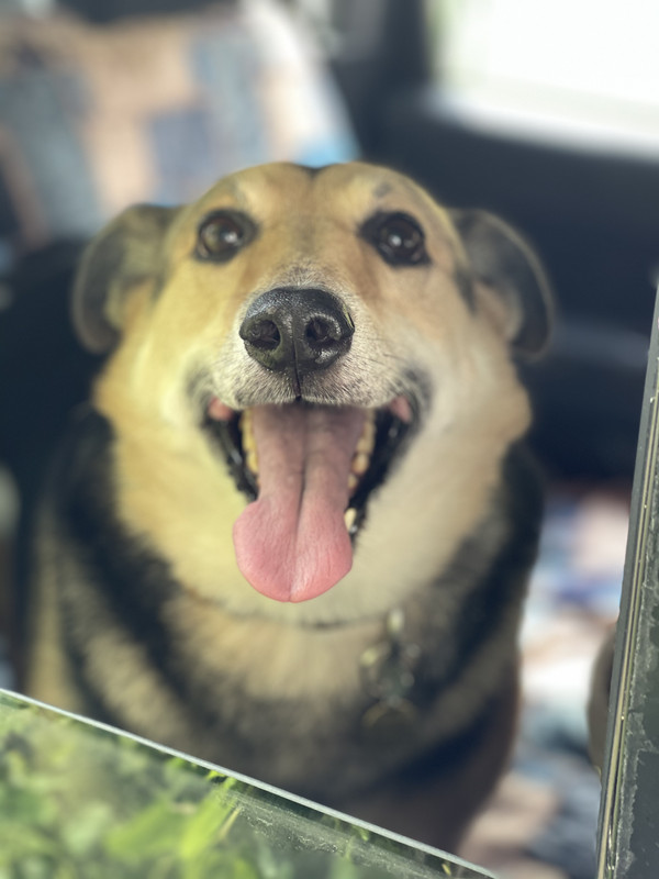 31FC0958-6F2D-4DD1-A357-D1B8E2C0B87E