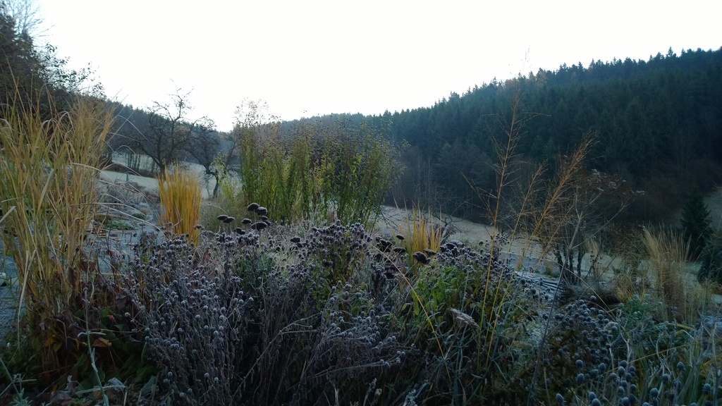 WP_20131112_07_03_41_Pro (3072x1728)