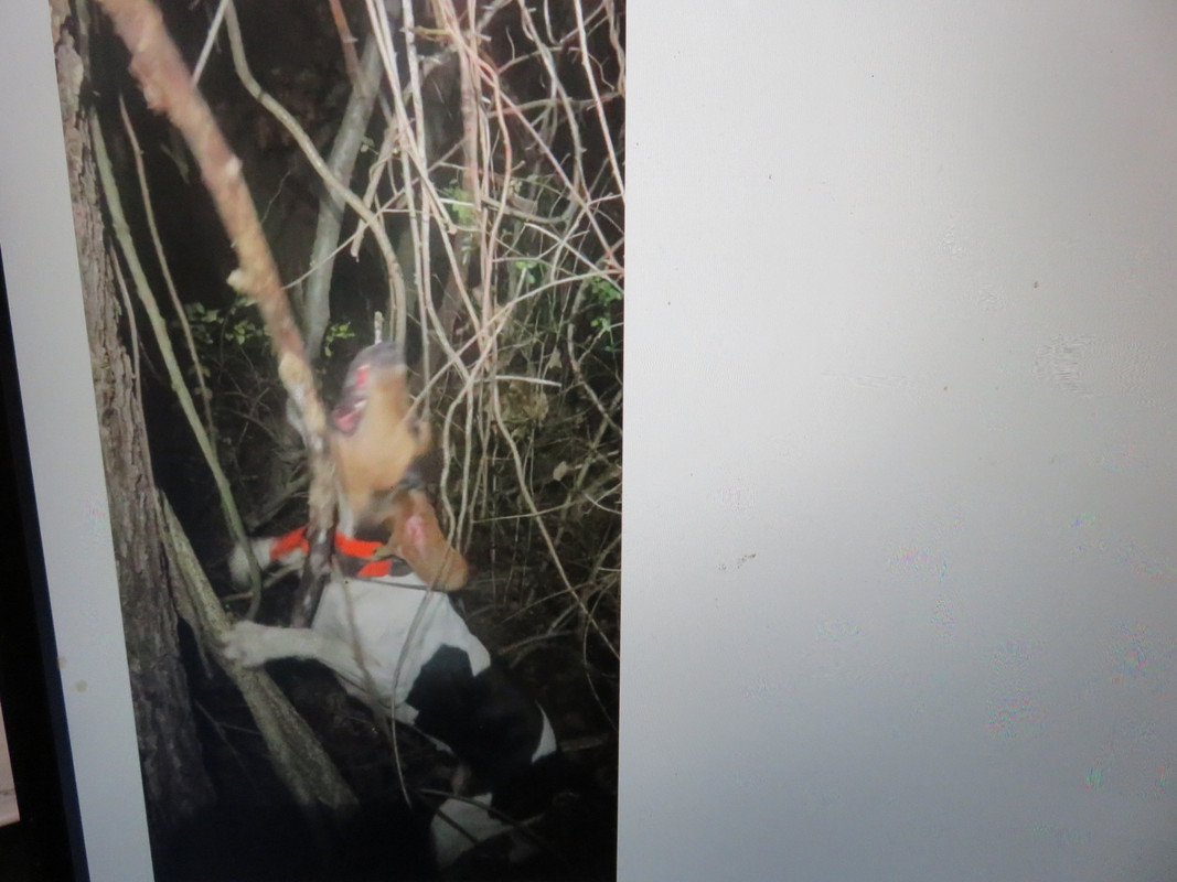 583C9B41-18F7-47E0-83AA-7F012313B425