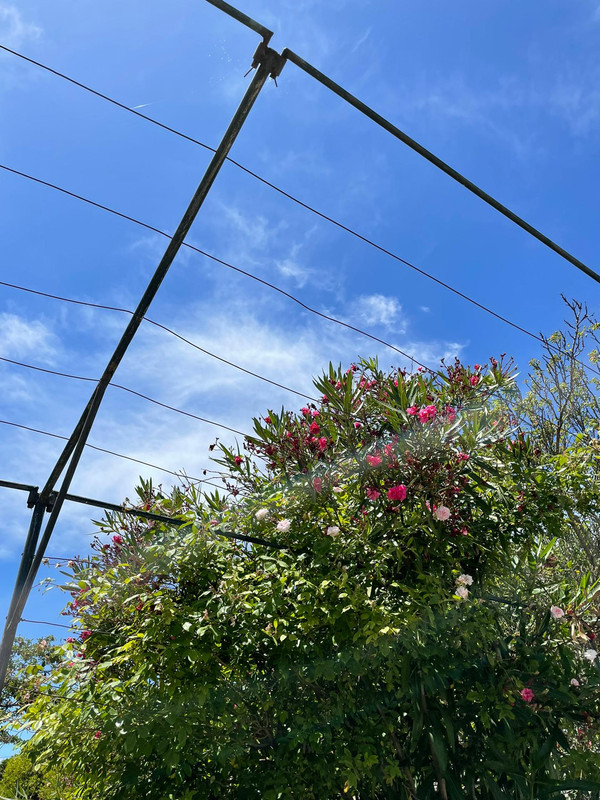 20 E778 EB 6850 4023 A258 4 FB2 E08 A582 A — Postimages