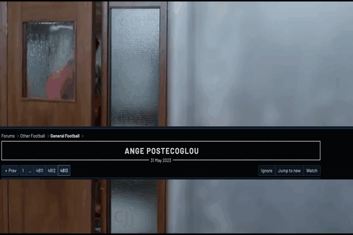 Timeline-1.gif