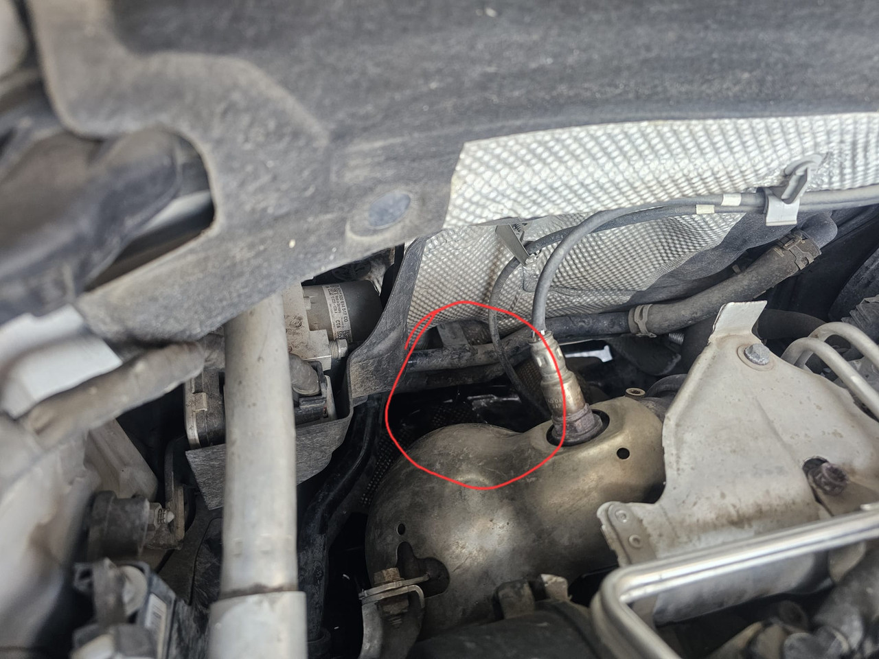 Whats App Image 2026 02 08 at 18 18 53