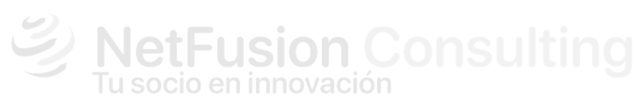 Net Fusion Consulting