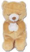 A teddy bear plushie praying