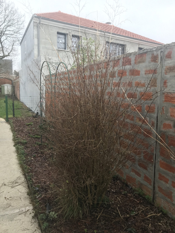 Photo 08-02-2021 12 39 50 (1)