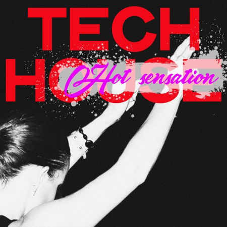 ee636767 ede8 4b54 a533 ffb1a6362bb1 - Various Artists - Tech House Hot Sensation (2020)
