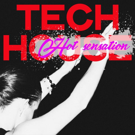 Various Artists - Tech House Hot Sensation (2020)