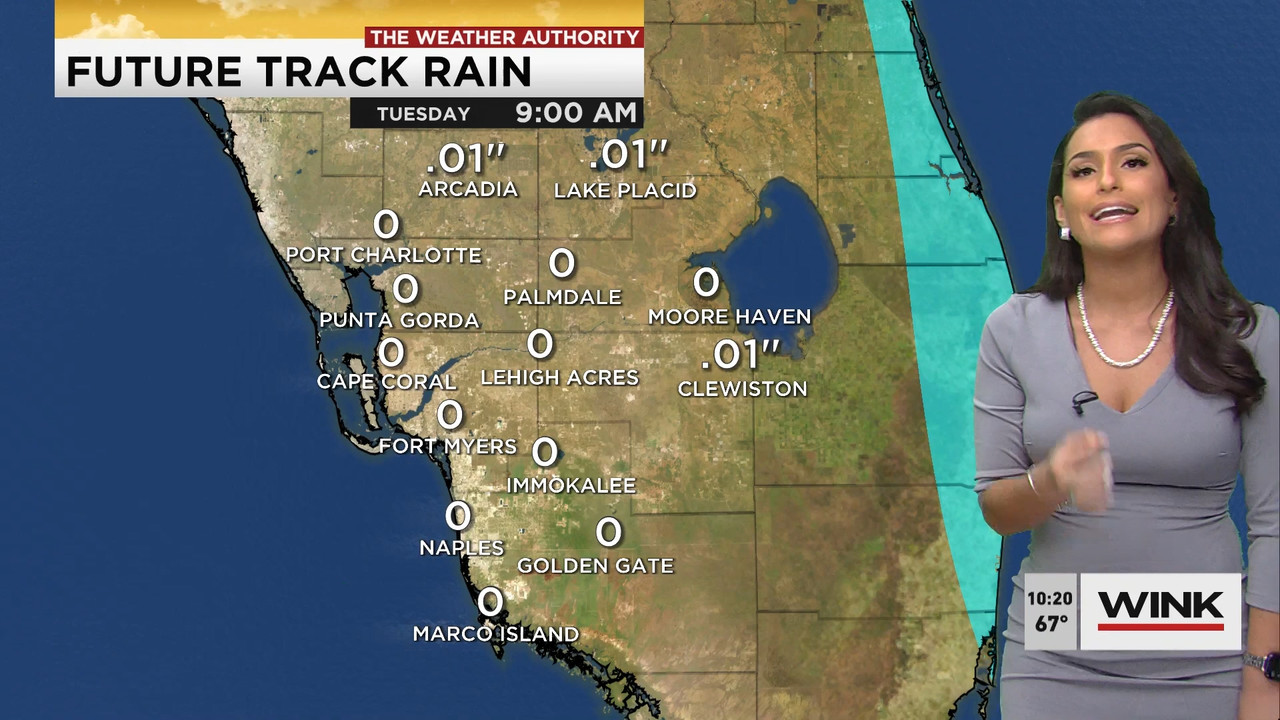 01.21 - 15.00.00 - WINK News at 10 00AM..ts_snapshot_00.26.32.080