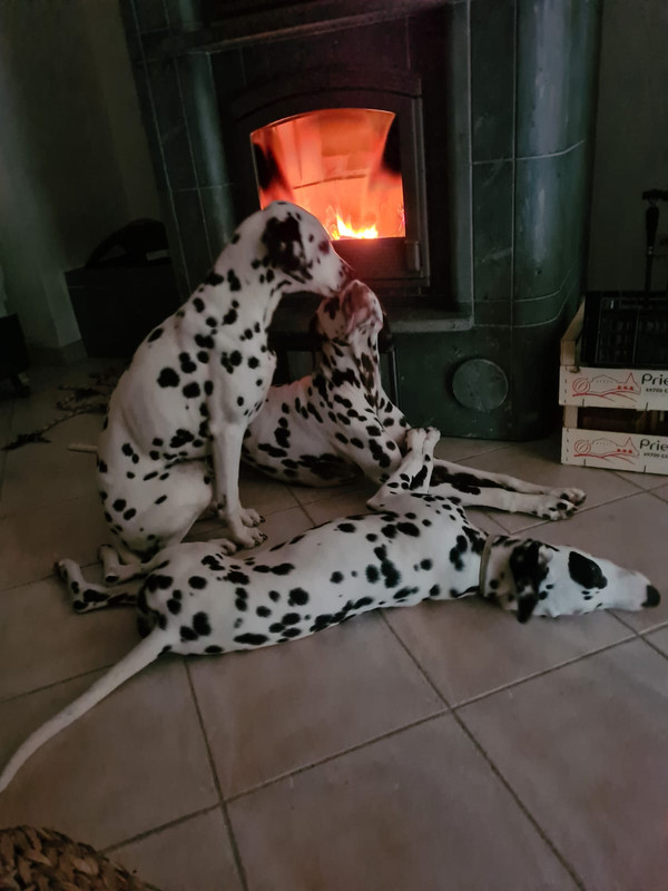 4c502a15-ec79-48a6-a160-b52b292ba861