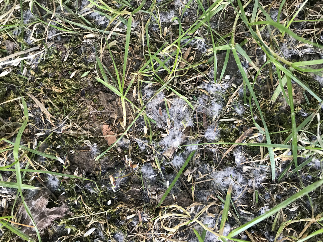 BDE77116-8BD1-4D9A-A974-E6CAEEEF0D57