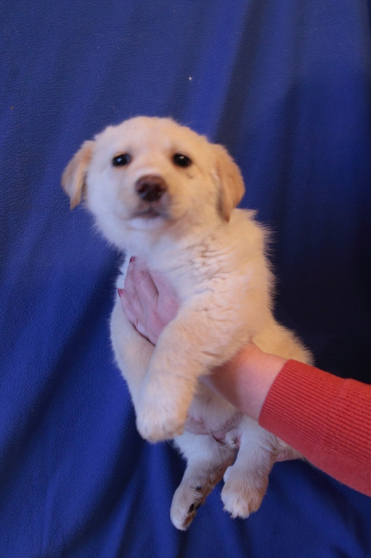 AE3AA6C2-D954-4CBD-BD85-2D4D50D8C91F