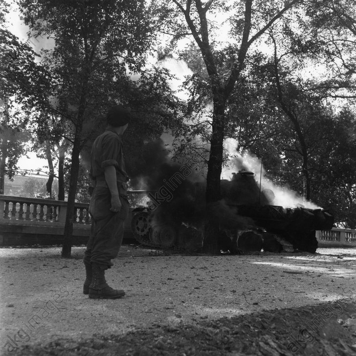 char blindé allemand brûlant dans le jardin des 
