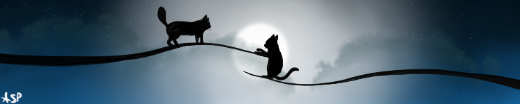 Two-Kitties-To-Send.png