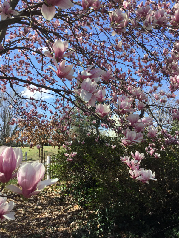 F6D17657-5D16-4C2F-8EF4-79A76072890B