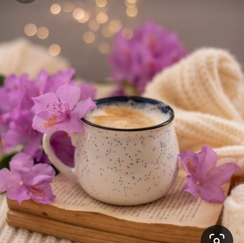 Screenshot_20230517_000314_Pinterest