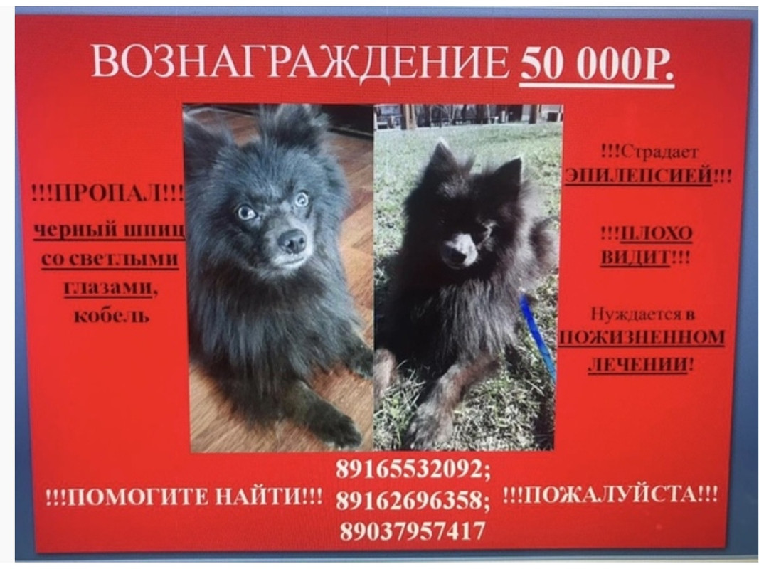 Screenshot_20200430-114523_Browser-01