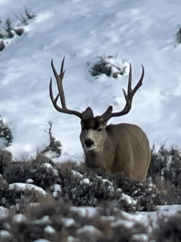 F2A542B2-4B30-4232-9589-9D586558B558