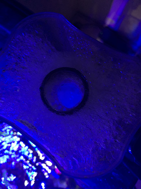 99BF473A-B141-4728-86AB-E112373E0B09