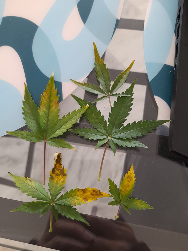 4058be97-c0f7-44ab-beb0-306a6cf5b830