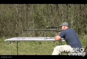 a5oo2c.gif